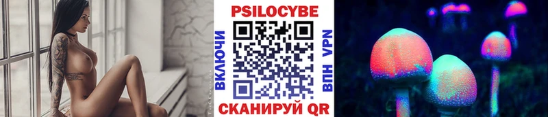Галлюциногенные грибы Psilocybine cubensis  Петропавловск-Камчатский 