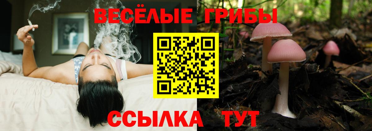 как найти закладки  Галлюциногенные грибы мухоморы  Вход с VPN  Галлюциногенные грибы прущие грибы  Петропавловск-Камчатский 
