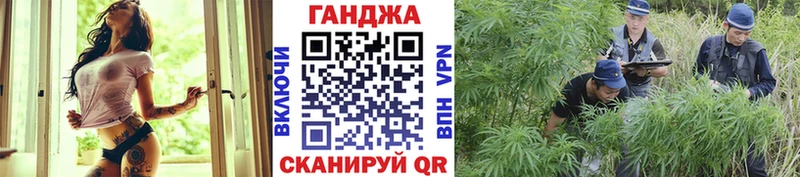 Марихуана Bruce Banner  KRAKEN рабочий сайт  Петропавловск-Камчатский 